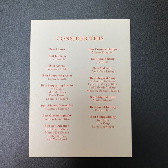 DVD FYC For Your Consideration Lot Precious Brothers Modern Family Lion Screener - Picture 4 of 13